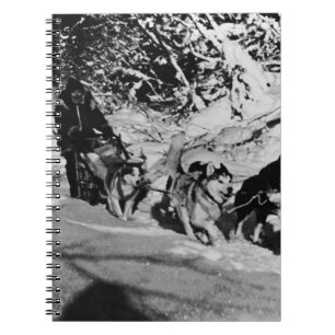Vintage Alaska eskimo Malamute sled racing 1970 Notebook