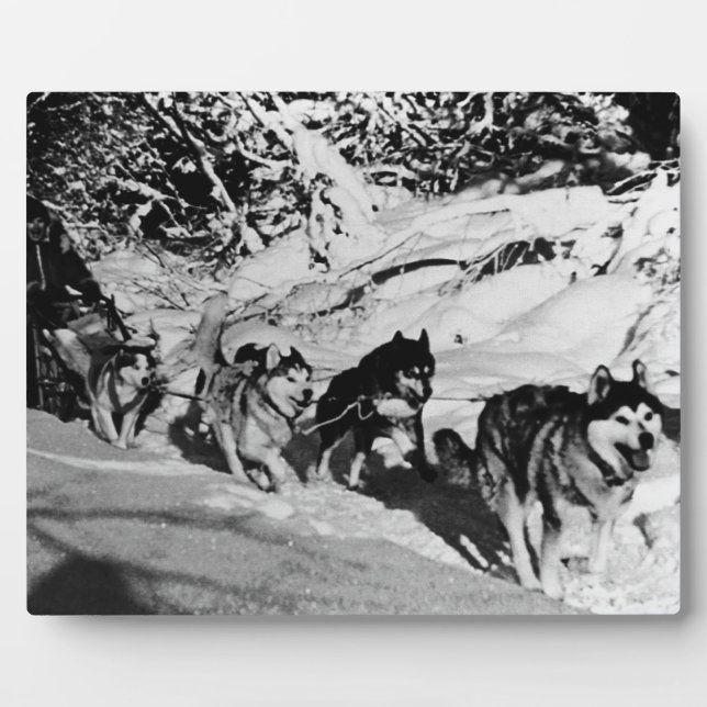Vintage Alaska eskimo Malamute sled racing 1970 Plaque (Front)