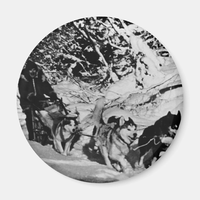 Vintage Alaska eskimo Malamute sled racing Magnet (Front)