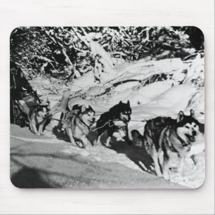 Vintage Alaska eskimo Malamute sled racing Mouse Mat