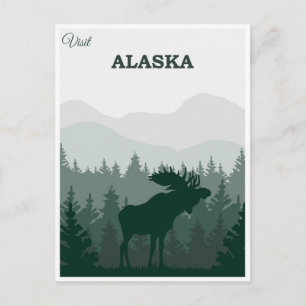 Vintage Alaska Nature Moose Travel Postcard