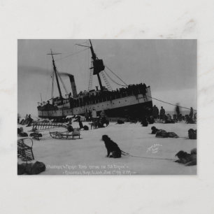 Vintage Alaska Postcard