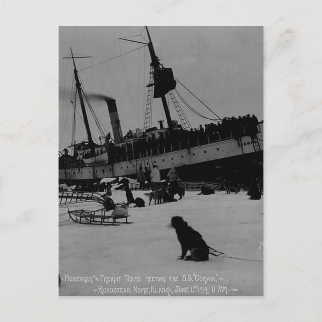 Vintage Alaska Postcard (Front)