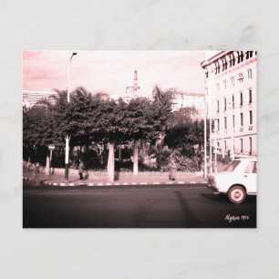 Vintage Algeria Algiers city center Postcard
