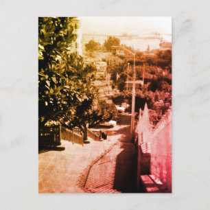 Vintage Algeria Algiers district overview Postcard