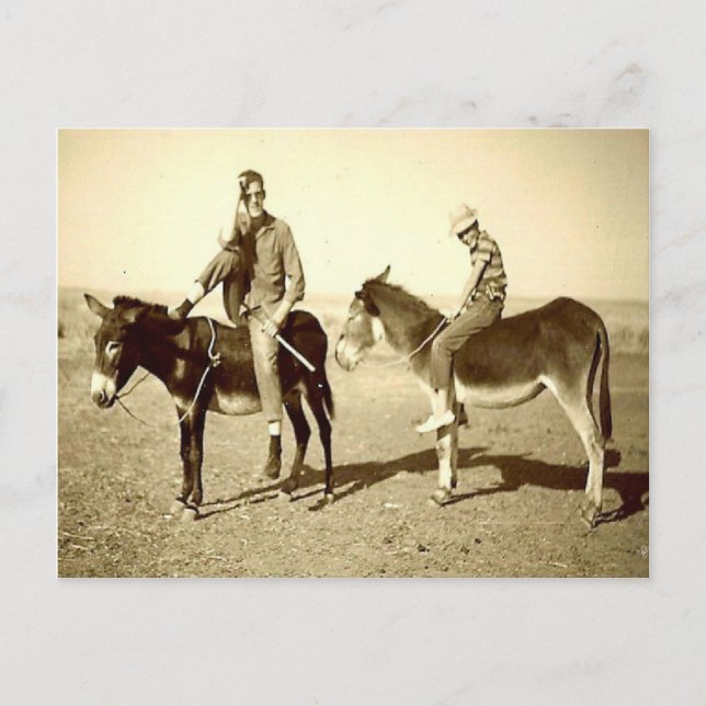 Vintage Algeria Explorations on a donkey Postcard (Front)