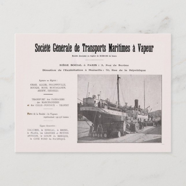 Vintage Algeria Shipping Company Advertisment Postcard (Front)