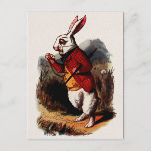 Vintage Alice in Wonderland Illustration Postcard