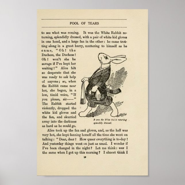 Vintage Alice in Wonderland Illustration Poster (Front)