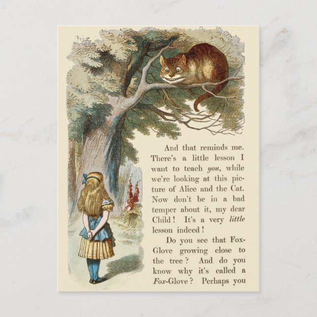 Vintage Alice in Wonderland  Postcard (Front)