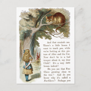 Vintage Alice in Wonderland  Postcard