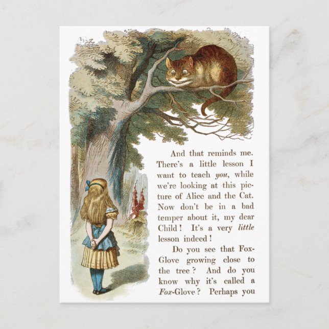 Vintage Alice in Wonderland  Postcard (Front)