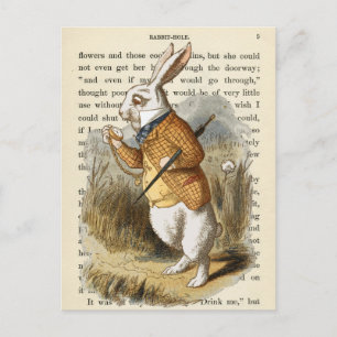 Vintage Alice in Wonderland  Postcard
