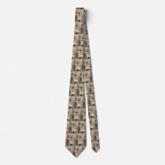 Vintage Alices Adventures in Wonderland by Rackham Tie