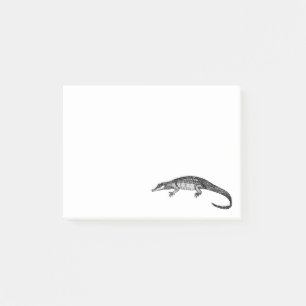 Vintage Alligator Illustration Post-it Notes