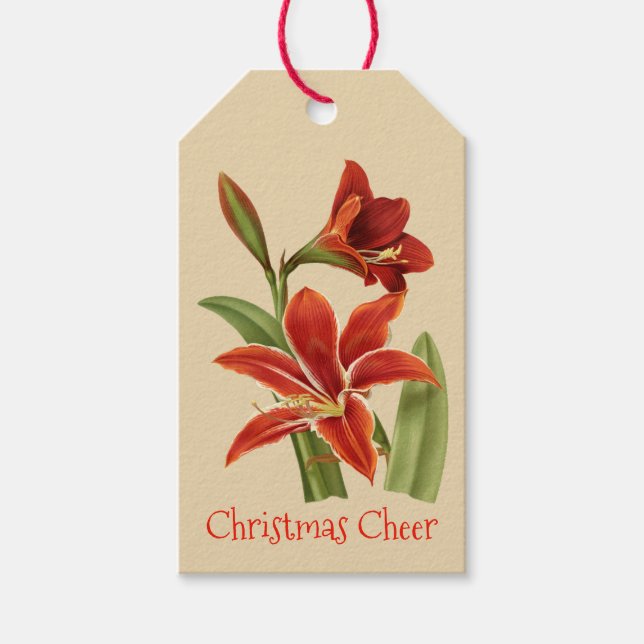 Vintage Amaryllis Christmas Cheer Gift Tags (Front)