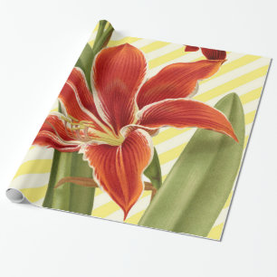 Vintage Amaryllis Wrapping Paper