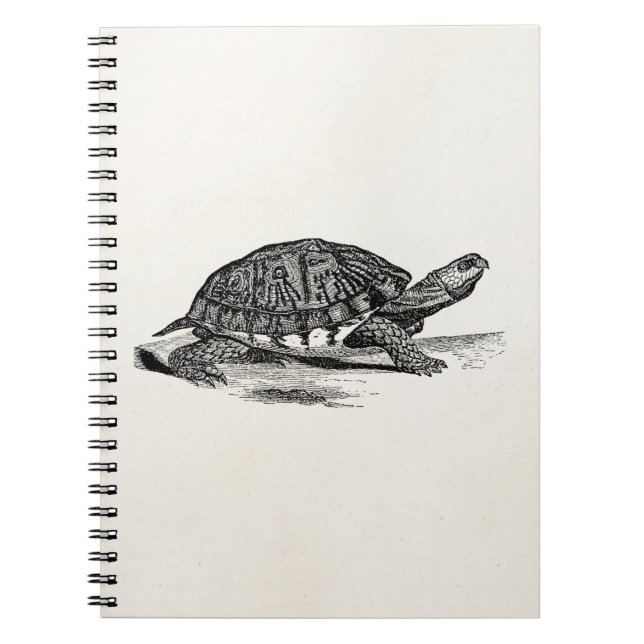 Vintage American Box Tortoise - Turtle Template Notebook (Front)