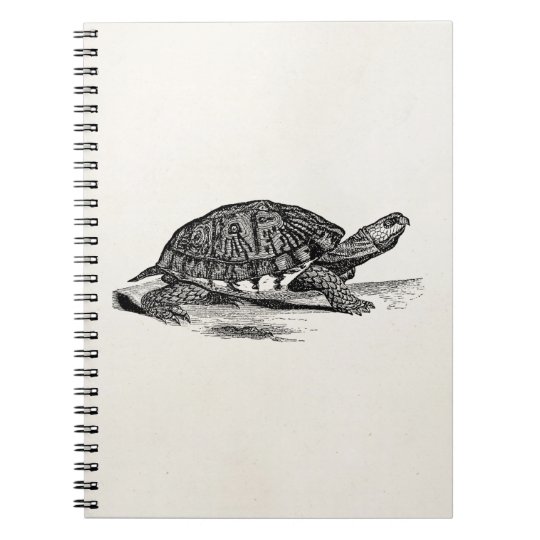 Vintage American Box Tortoise - Turtle Template Notebooks