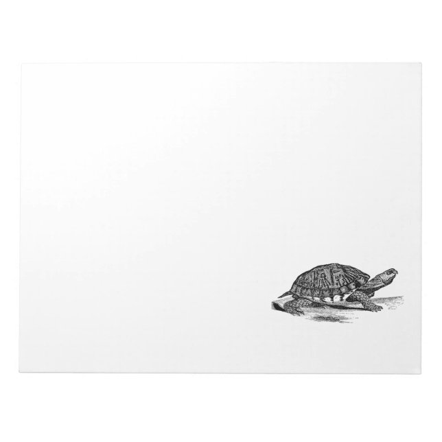 Vintage American Box Tortoise - Turtle Template Notepad (Front)