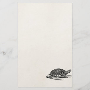 Vintage American Box Tortoise - Turtle Template Stationery