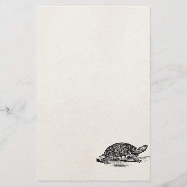 Vintage American Box Tortoise - Turtle Template Stationery (Front)