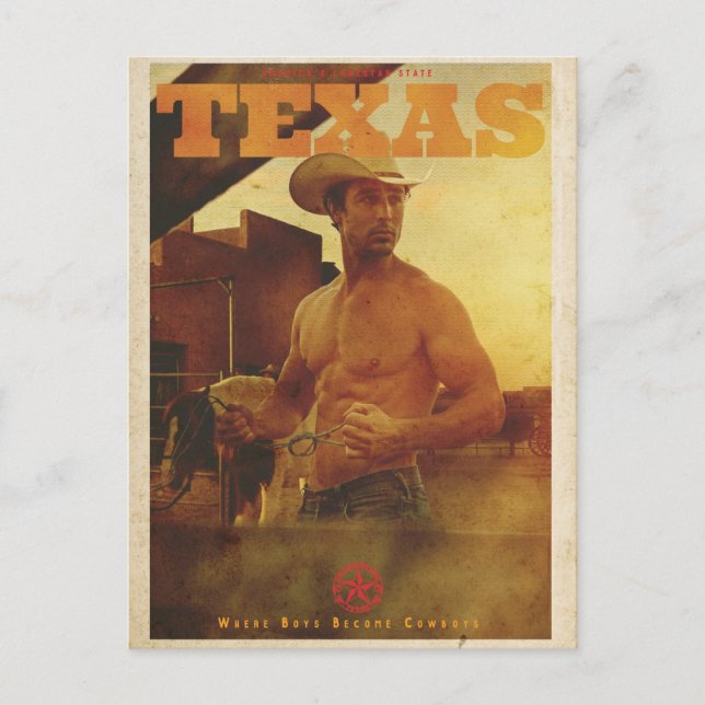 Vintage American Cowboy Poster Postcard (Front)