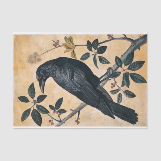 Vintage American Crow Illustration Decoupage Tissue Paper (Front)
