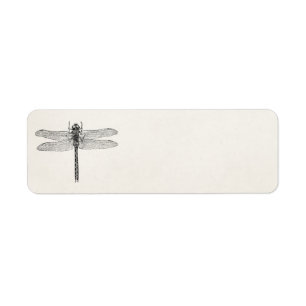 Vintage American Dragonfly Dragon Fly Template