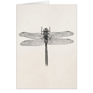 Vintage American Dragonfly Dragon Fly Template