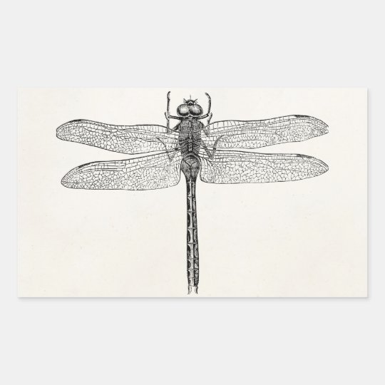 Vintage American Dragonfly Dragon Fly Template Rectangular Sticker