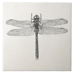 Vintage American Dragonfly Dragon Fly Template Tile
