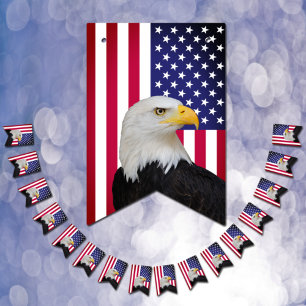 Vintage American Flag, Eagle bunting Patriot Party Bunting