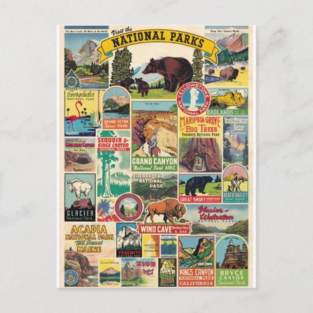 Vintage American National Parks Collage Postcard (Front)