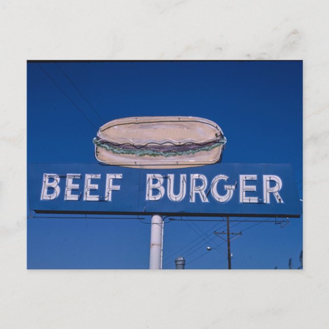 Vintage American Scenery  Postcard (Front)