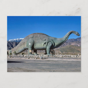 Vintage American Scenery  Postcard