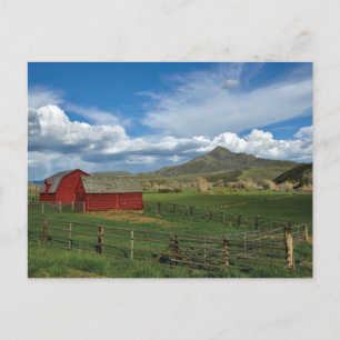 Vintage American Scenery Postcard