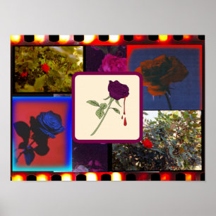Vintage Analogue Film Rose Collage Poster