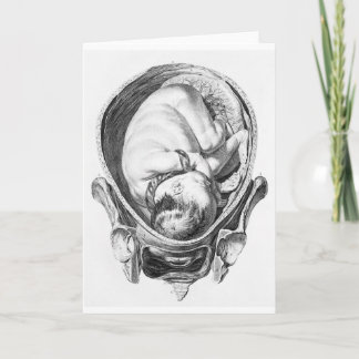 Vintage Anatomical Baby Foetus Greeting Card