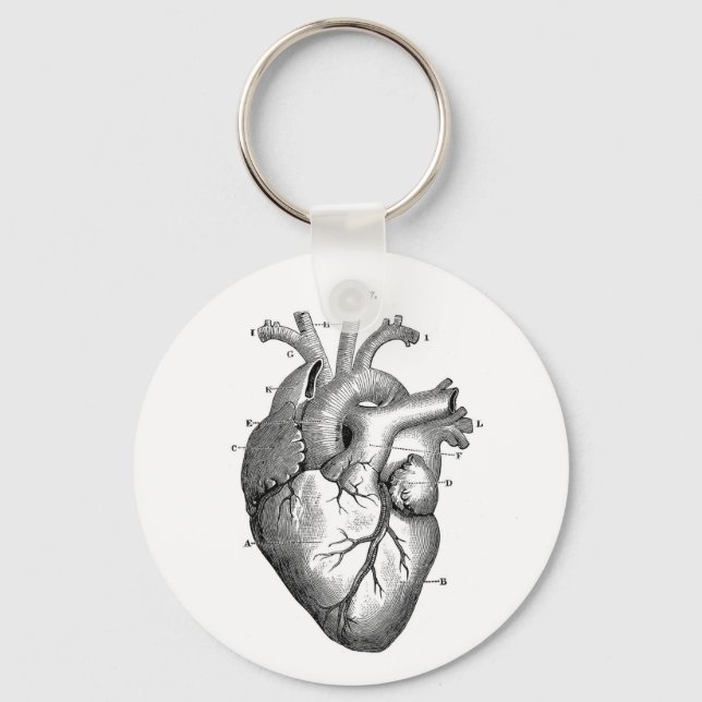 Vintage Anatomical Drawing Human Heart Key Ring (Front)