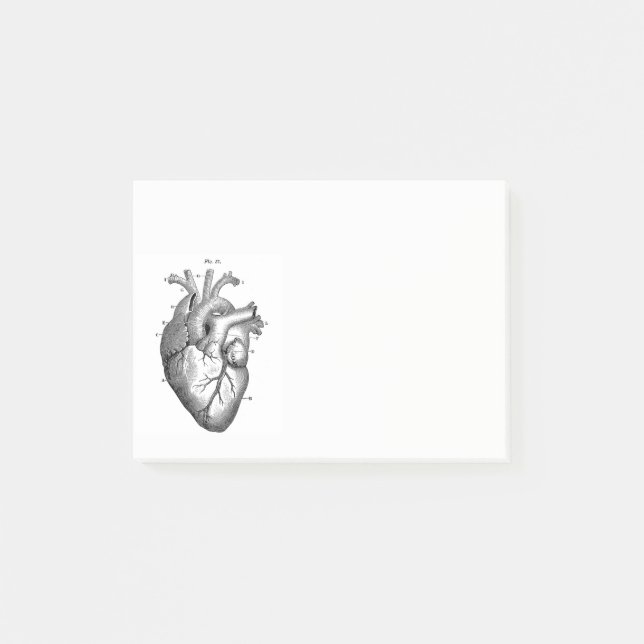 Vintage Anatomical Drawing Human Heart Post-it Notes (Front)