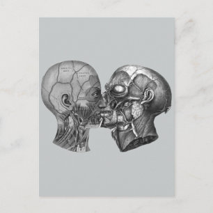 Vintage Anatomical Head kissing Postcard