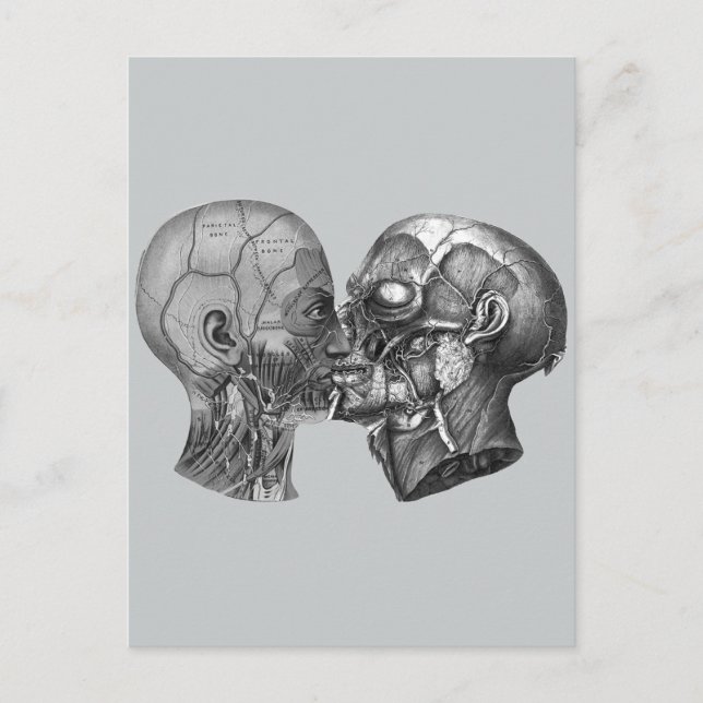 Vintage Anatomical Head kissing Postcard (Front)