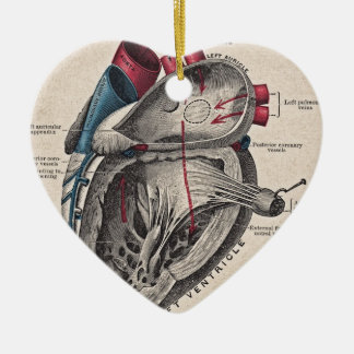 Vintage Anatomical Heart Ceramic Tree Decoration