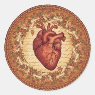 Vintage Anatomical Heart Floral Illustration Art Classic Round Sticker