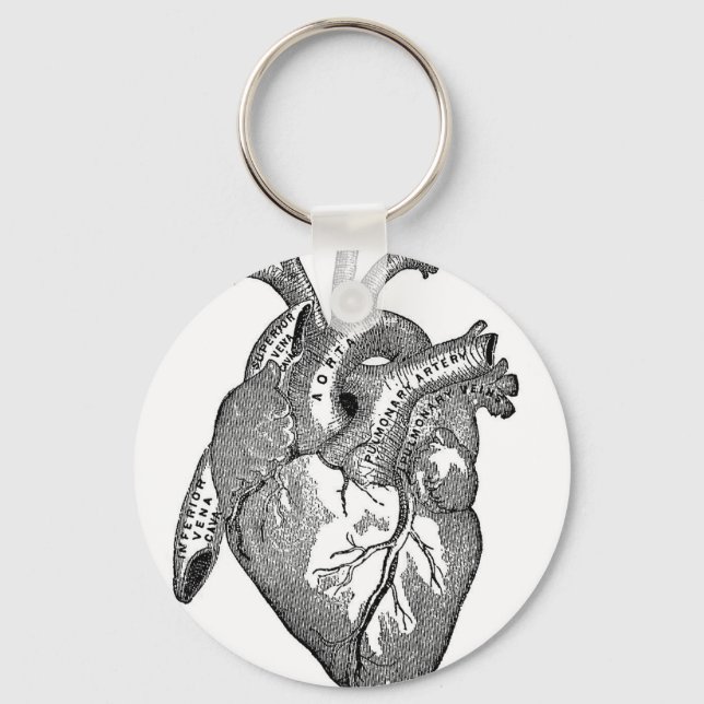 Vintage Anatomical Heart Key Ring (Front)