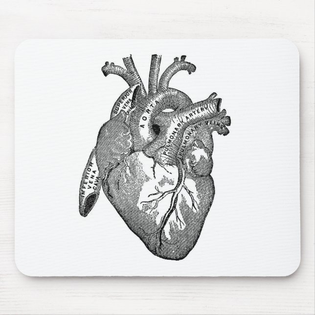 Vintage Anatomical Heart Mouse Mat (Front)