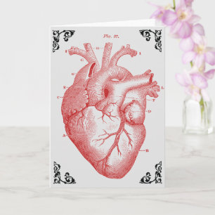 Vintage Anatomical Heart Victorian Greeting Card