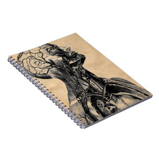 Vintage Anatomical Illustration of the Upper Body Notebook