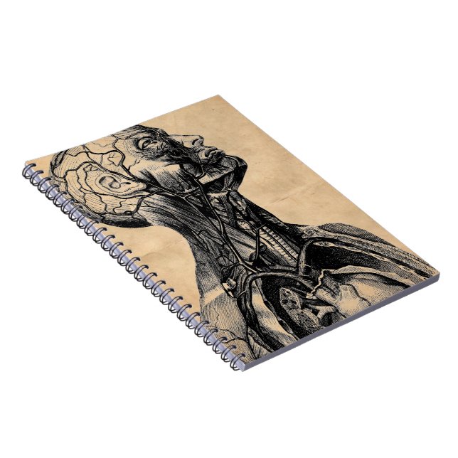Vintage Anatomical Illustration of the Upper Body Notebook (Right Side)